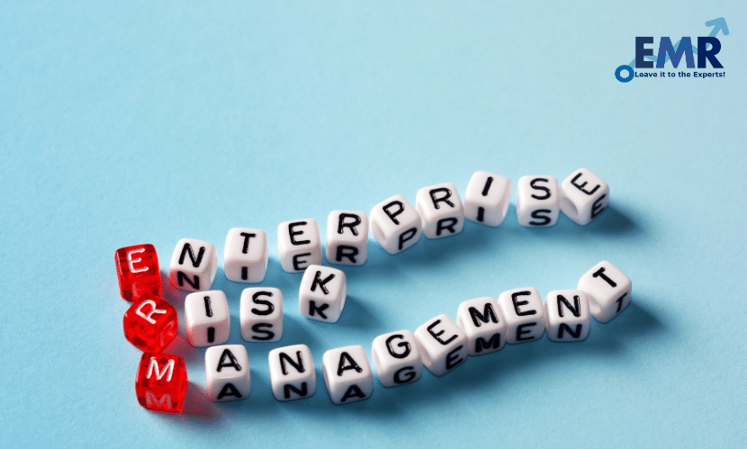Enterprise Risk Management Market